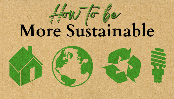 How to be More Sustainable in 2024