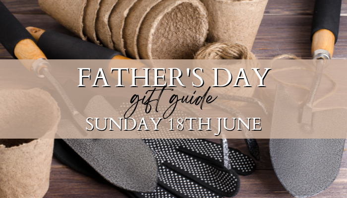 Father's Day Gift Guide